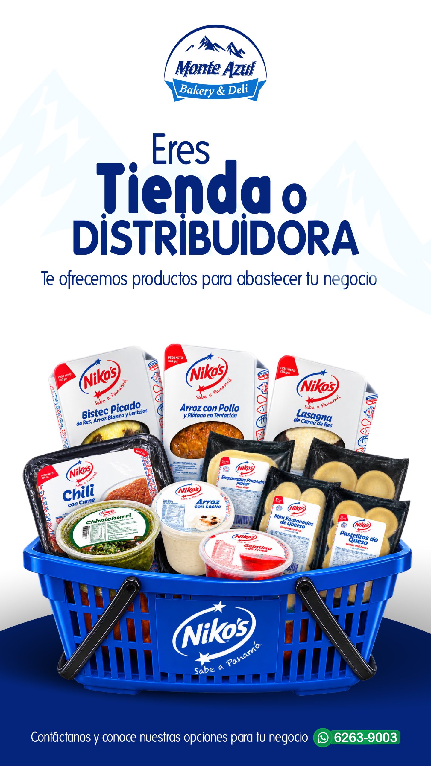 POSTT tienda y aborreteria